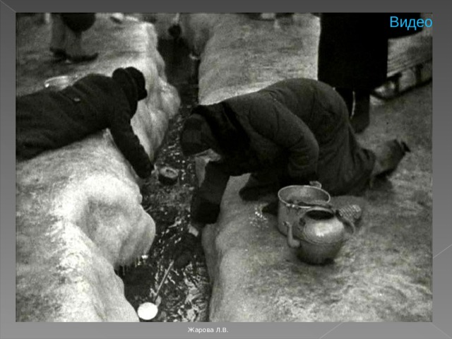 Видео Жарова Л.В. 
