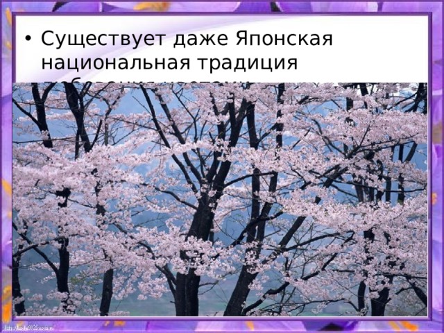 Существует даже Японская национальная традиция любования цветами. 