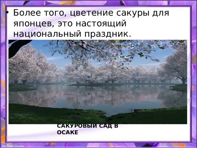 Более того, цветение сакуры для японцев, это настоящий национальный праздник. САКУРОВЫЙ САД В ОСАКЕ 