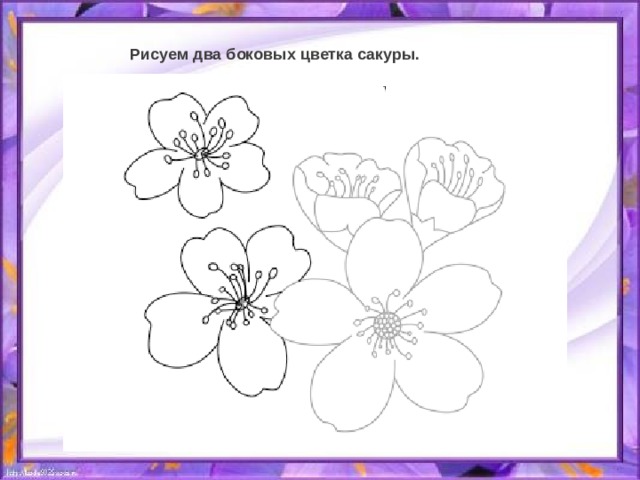 Рисуем два боковых цветка сакуры. 