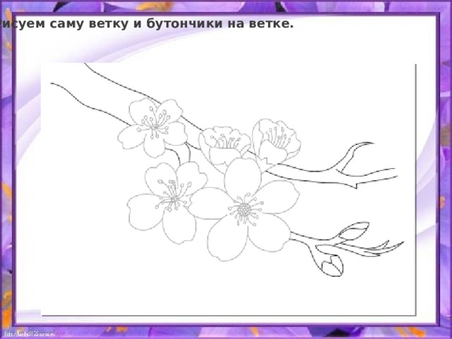 Рисуем саму ветку и бутончики на ветке. 