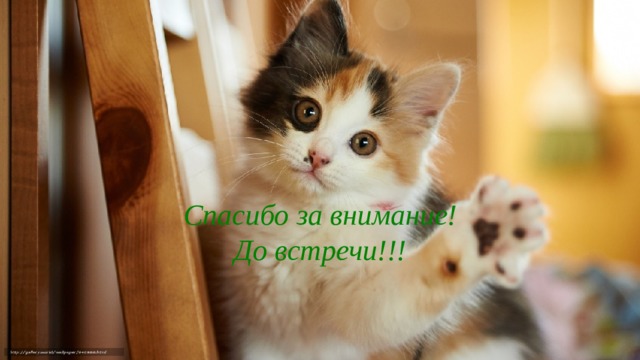 Спасибо за внимание! До встречи!!!  