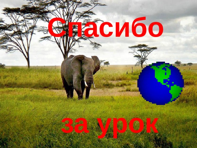  Спасибо    за урок 
