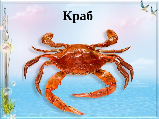 Краб 