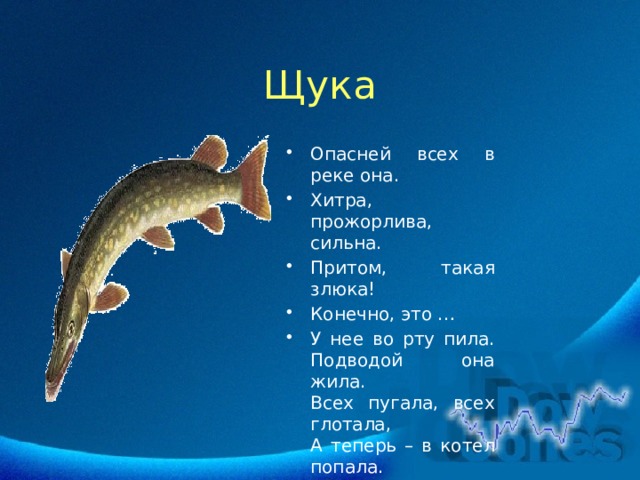 Щука Опасней всех в реке она. Хитра, прожорлива, сильна. Притом, такая злюка! Конечно, это … У нее во рту пила.  Подводой она жила.  Всех пугала, всех глотала,  А теперь – в котел попала. 