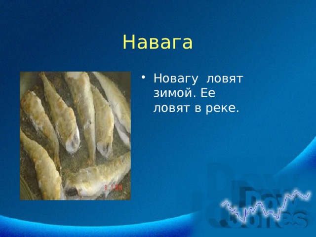 Навага Новагу ловят зимой. Ее ловят в реке. 