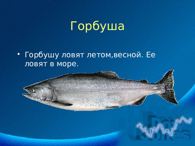 Горбуша Горбушу ловят летом,весной. Ее ловят в море. 