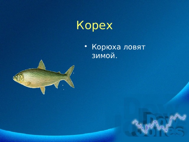 Корех Корюха ловят зимой. 