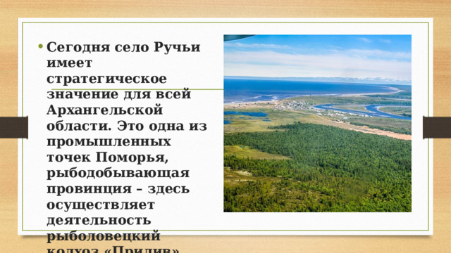 Сегодня село Ручьи имеет стратегическое значение для всей Архангельской области. Это одна из промышленных точек Поморья, рыбодобывающая провинция – здесь осуществляет деятельность рыболовецкий колхоз «Прилив». 