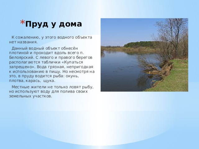 Пруд у дома  К сожалению, у этого водного объекта нет названия.  Данный водный объект обнесён плотиной и проходит вдоль всего п. Белоярский. С левого и правого берегов располагаются таблички «Купаться запрещено». Вода грязная, непригодная к использованию в пищу. Но несмотря на это, в пруду водится рыба: окунь, плотва, карась, щука.  Местные жители не только ловят рыбу, но используют воду для полива своих земельных участков. 