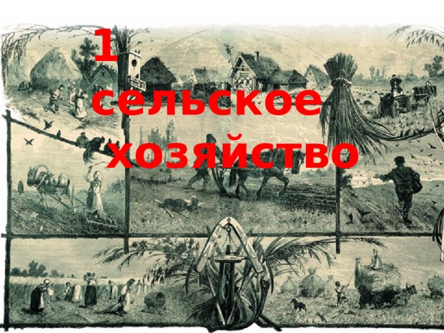 1 сельское  хозяйство 