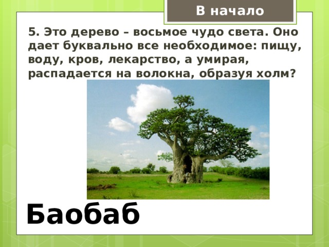 В начало 5. Это дерево – восьмое чудо света. Оно дает буквально все необходимое: пищу, воду, кров, лекарство, а умирая, распадается на волокна, образуя холм? Баобаб 