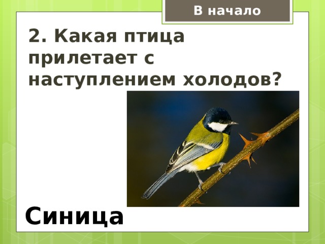 В начало 2. Какая птица прилетает с наступлением холодов? иволга Синица  