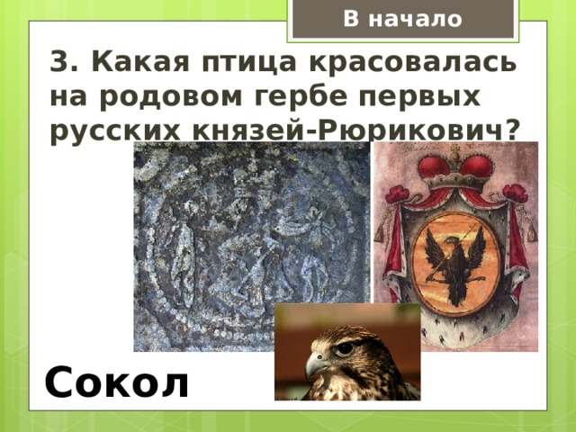 В начало 3. Какая птица красовалась на родовом гербе первых русских князей-Рюрикович? Сокол 