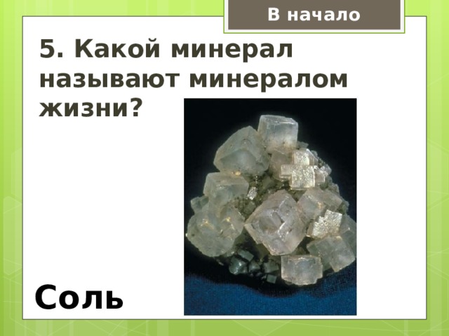 В начало 5. Какой минерал называют минералом жизни? Соль 