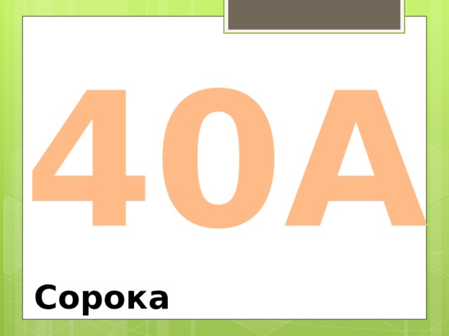 40А Сорока 