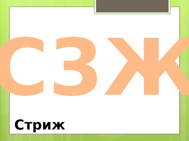 С3Ж Стриж 