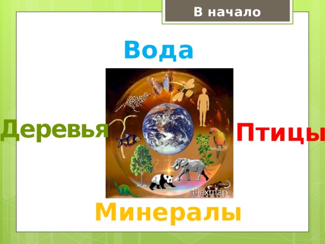 В начало Вода Деревья Птицы Минералы 