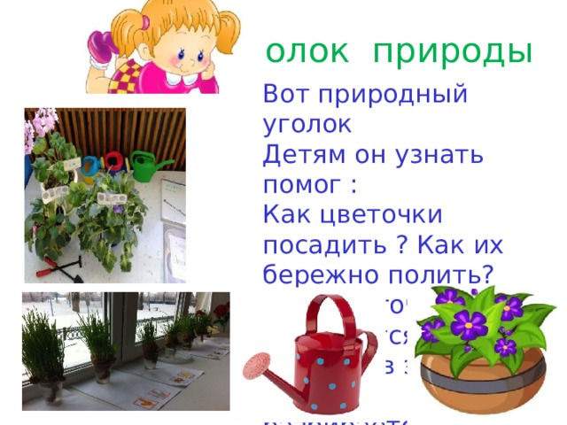 Уголок природы Вот природный уголок Детям он узнать помог : Как цветочки посадить ? Как их бережно полить? Как цветочек называется? Каждый в этом теперь разбирается !!! 