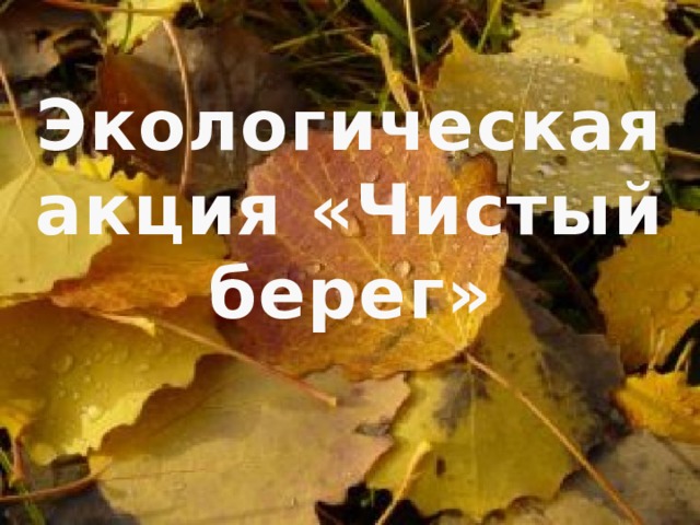Экологическая акция «Чистый берег»