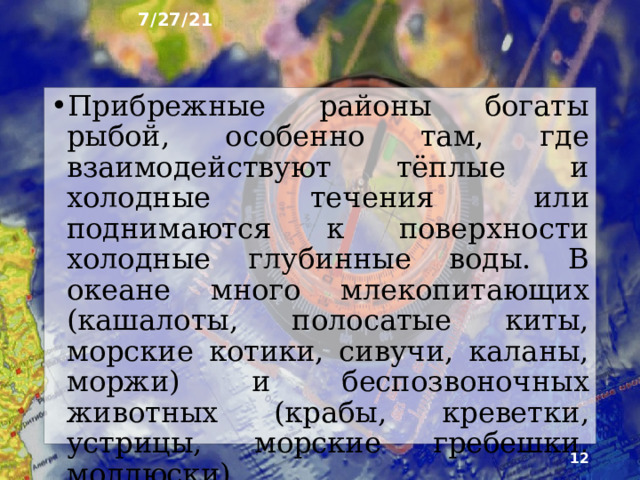 7/27/21 6. Живые богатства Тихий океан - самый богатый по числу видов живых организмов и общей их массе. В целом в Тихом океане обитает 100 тыс. видов животных , что в 3-4 раза боль­ше, чем в других океанах. Наиболее обильна жизнь в зоне шельфов. По мере удаления от побережий и с уве­личением глубины она становится беднее.  
