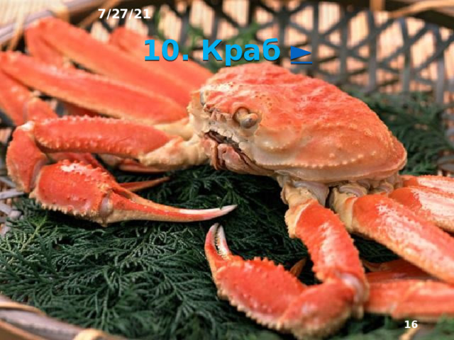 7/27/21 9. Морские котики ►   