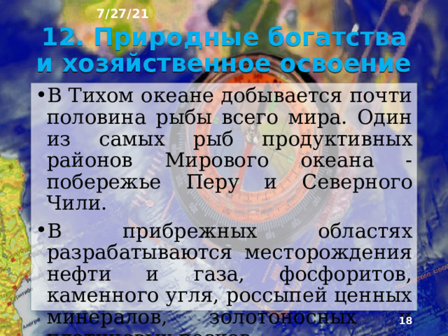 7/27/21 11. Морские гребешки  
