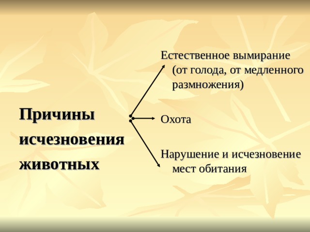 Естественное вымирание (от голода, от медленного размножения) Охота Нарушение и исчезновение мест обитания  Причины исчезновения животных  