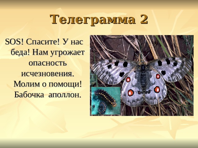 Телеграмма 2 SOS ! Спасите! У нас беда! Нам угрожает опасность исчезновения. Молим о помощи! Бабочка аполлон. 