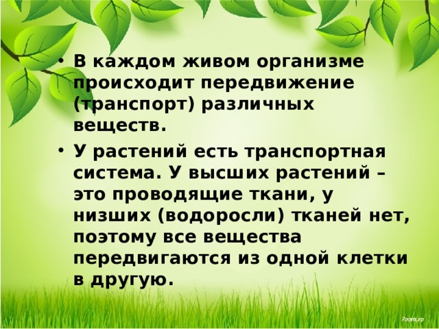 В каждом живом организме происходит передвижение (транспорт) различных веществ. У растений есть транспортная система. У высших растений – это проводящие ткани, у низших (водоросли) тканей нет, поэтому все вещества передвигаются из одной клетки в другую.  