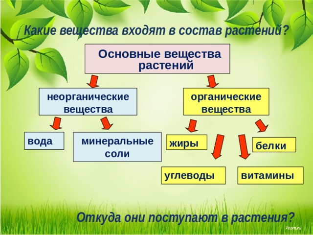 Какие вещества входят в состав растений?   Основные вещества растений неорганические вещества органические вещества вода минеральные соли жиры белки витамины углеводы Откуда они поступают в растения?   