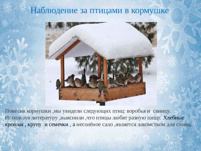 Наблюдение за птицами в кормушке Повесив кормушки ,мы увидели следующих птиц: воробья и синицу. Используя литературу ,выяснили ,что птицы любят разную пищу. Хлебные крошки , крупу и семечки , а несолёное сало ,является лакомством для синиц. 