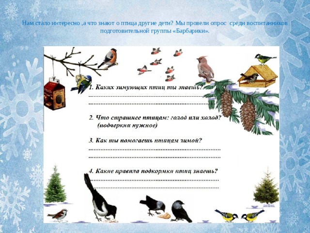  Нам стало интересно ,а что знают о птица другие дети? Мы провели опрос среди воспитанников подготовительной группы «Барбарики».   