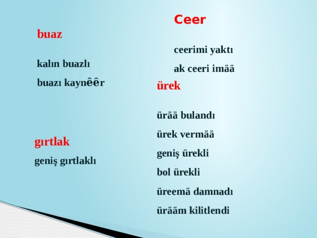 Ceer   ceerimi yaktı ak ceeri imää buaz   kalın buazlı  buazı kaynȇȇr ürek   ürää bulandı  ürek vermää  geniş ürekli bol ürekli  üreemä damnadı  ürääm kilitlendi   gırtlak geniş gırtlaklı    