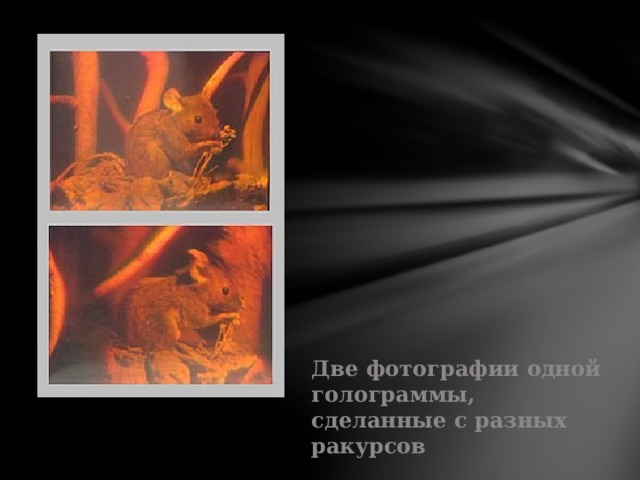 Две фотографии одной голограммы, сделанные с разных ракурсов 
