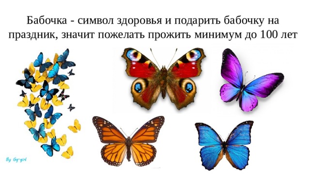 Бабочка - символ здоровья и подарить бабочку на праздник, значит пожелать прожить минимум до 100 лет 