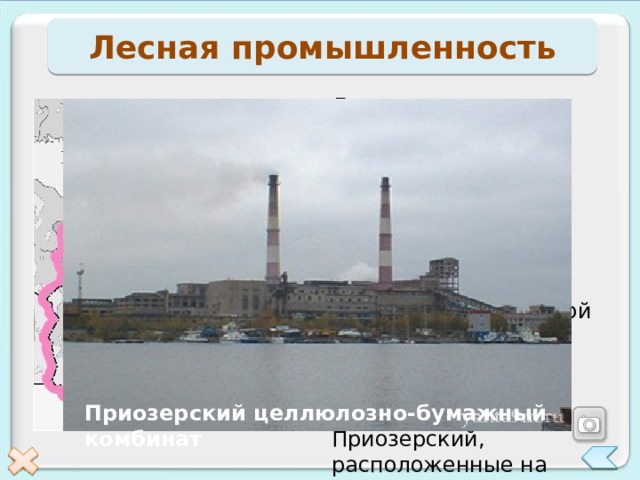 Лесная промышленность Лесная промышленность представлена всеми стадиями: заготовка, лесопиление, деревообработка. Крупнейшими комбинатами целлюлозно-бумажной промышленности являются Светлогорский, Советский, Приозерский, расположенные на Карельском перешейке. Сырье используется, как местное, так и привозное из Северного района. Приозерский целлюлозно-бумажный комбинат 