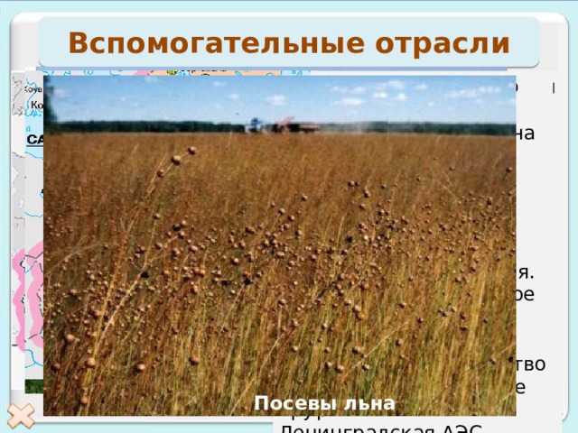 Вспомогательные отрасли ТЭК района ориентируется на привозное топливо. Район -крупный потребитель электроэнергии. Ее вырабатывают мощные ТЭС, которые размещены в г. Санкт-Петербурге и в г.Кириши. Сельское хозяйство района специализируется на  - молочном На реках Свирь, Волхов построены ГЭС средней и малой мощности. В Сосновом Бору построена и действует крупнейшая в России Ленинградская АЭС. животноводстве,  - свиноводстве  - птицеводстве  - производстве овощей и картофеля. Развито пригородное хозяйство. Сохранило свое значение льноводство на юге и юго-западе района Урожай с пригородных хозяйств Агропромышленный комплекс Топливно-энергетический комплекс Ленинградская АЭС ГЭС АЭС Ленинградская АЭС ТЭС Посевы льна 23 