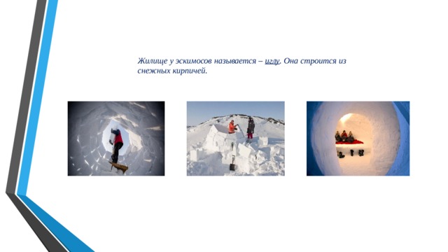 Жилище у эскимосов называется – иглу . Она строится из снежных кирпичей.  