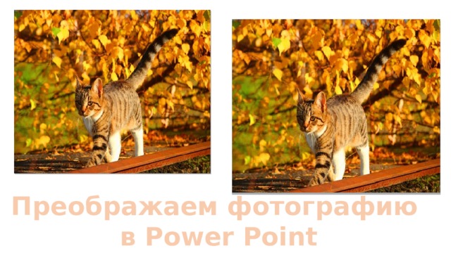 Преображаем фотографию  в Power Point 