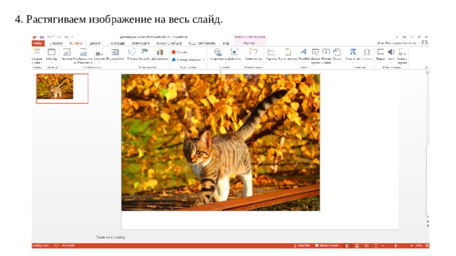 4. Растягиваем изображение на весь слайд. 