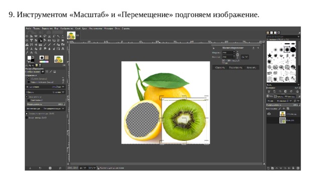9. Инструментом «Масштаб» и «Перемещение» подгоняем изображение. 
