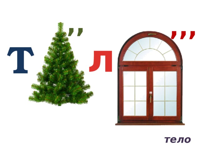 ,, ,,, л Т тело 