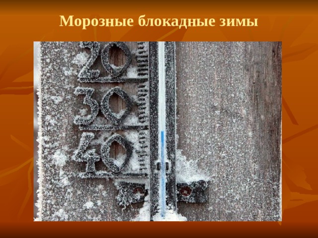 Морозные блокадные зимы 