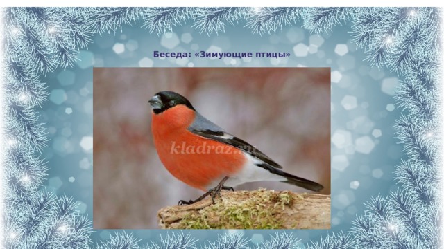 Беседа: «Зимующие птицы» 