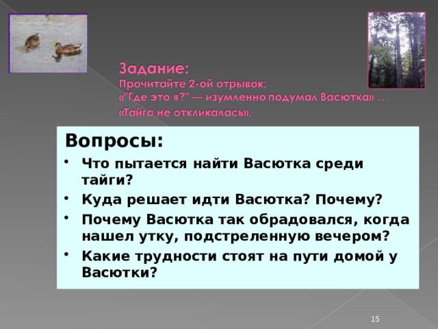 Вопросы: Что пытается найти Васютка среди тайги? Куда решает идти Васютка? Почему? Почему Васютка так обрадовался, когда нашел утку, подстреленную вечером? Какие трудности стоят на пути домой у Васютки?  
