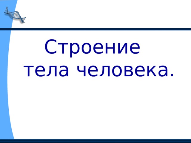 Строение  тела человека. 