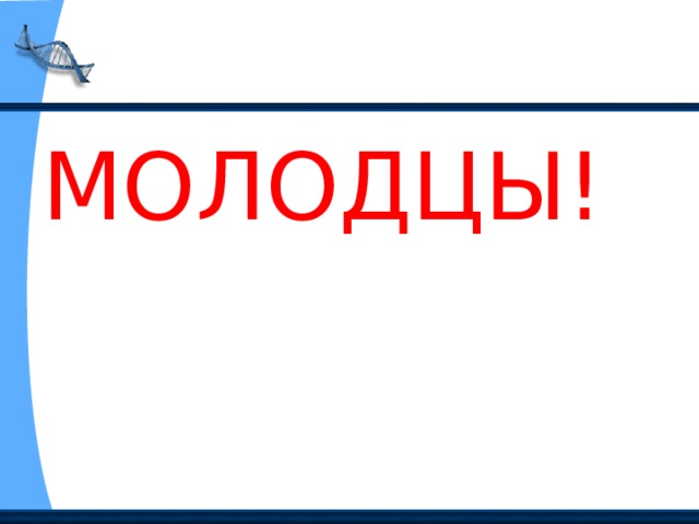МОЛОДЦЫ! 