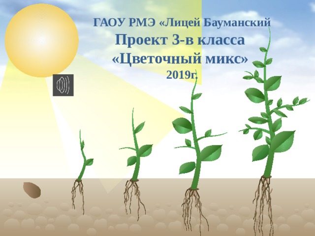 ГАОУ РМЭ «Лицей Бауманский Проект 3-в класса «Цветочный микс» 2019г.  