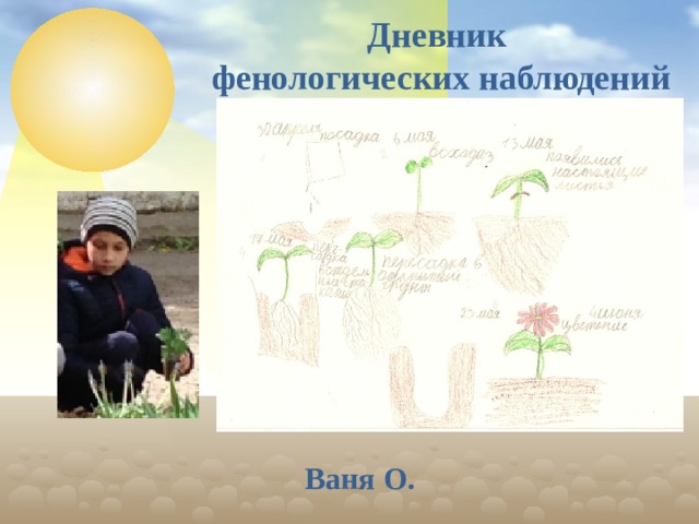 Дневник фенологических наблюдений Ваня О.  